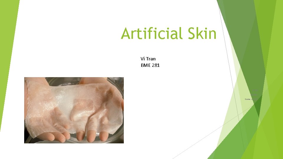 Artificial Skin Vi Tran BME 281 Vi Tran Section 1 October 23, 2013 