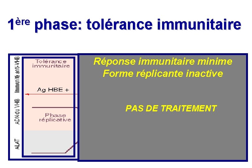 1ère phase: tolérance immunitaire Réponse immunitaire minime Forme réplicante inactive PAS DE TRAITEMENT 1ère phase: tolérance immunitaire Réponse immunitaire minime Forme réplicante inactive PAS DE TRAITEMENT