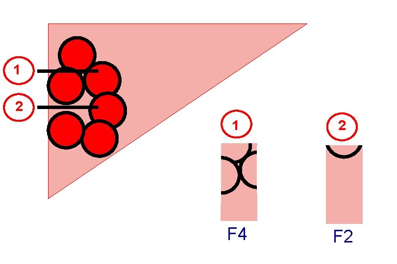 1 2 F 4 F 2 1 2 F 4 F 2