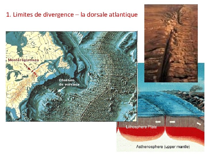 1. Limites de divergence – la dorsale atlantique 