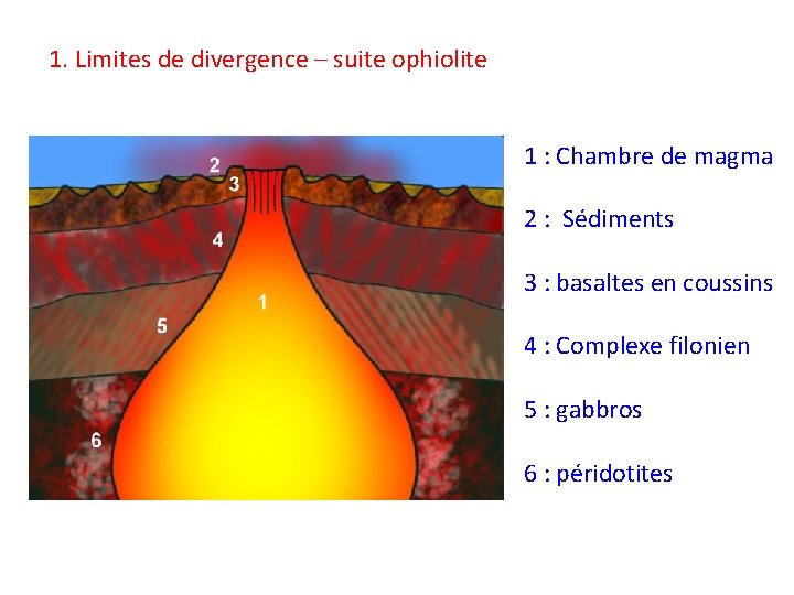 1. Limites de divergence – suite ophiolite 1 : Chambre de magma 2 :