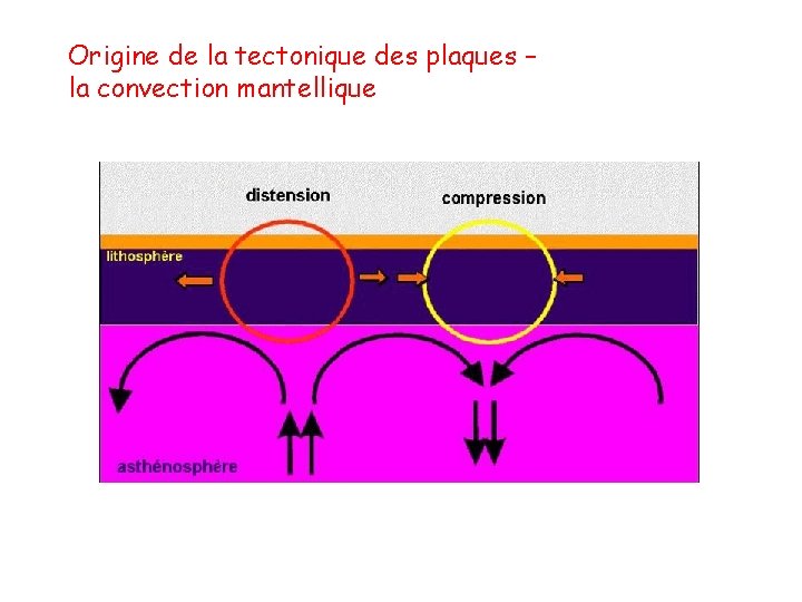 Origine de la tectonique des plaques – la convection mantellique 