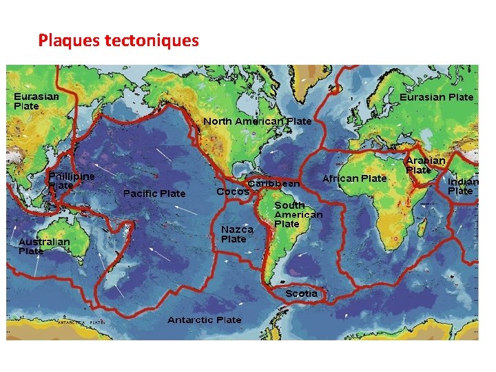 Plaques tectoniques 