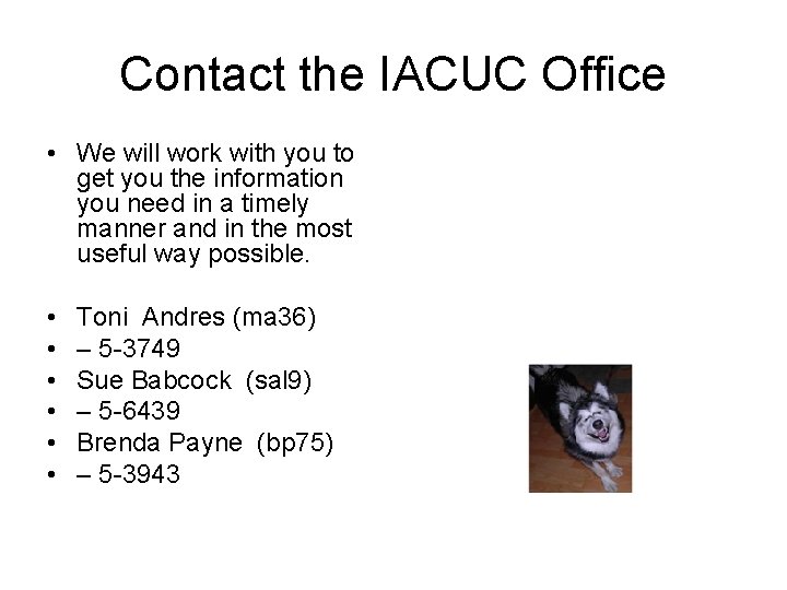 Contact the IACUC Office • We will work with you to get you the