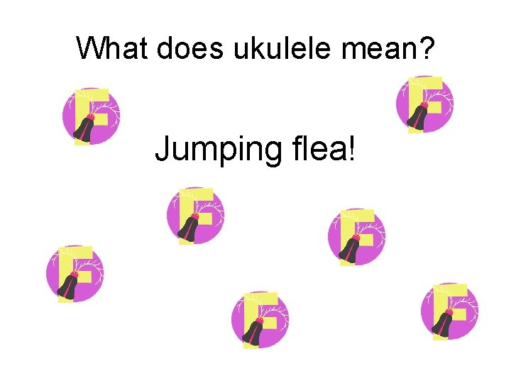 What does ukulele mean? Jumping flea! 