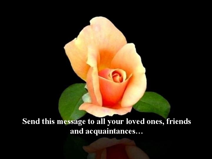 Send this message to all your loved ones, friends and acquaintances… 