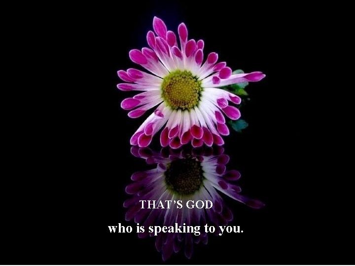 THAT’S GOD who is speaking to you. 