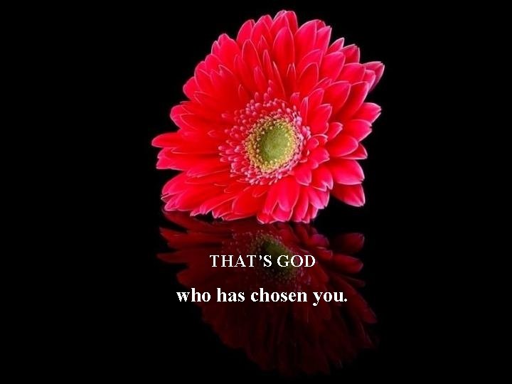 THAT’S GOD who has chosen you. 