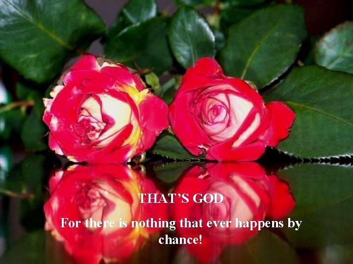 THAT’S GOD For there is nothing that ever happens by chance! 