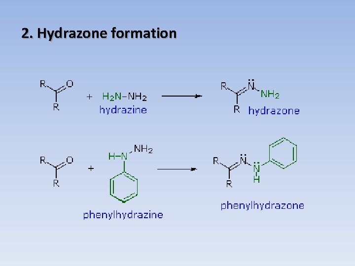 2. Hydrazone formation 