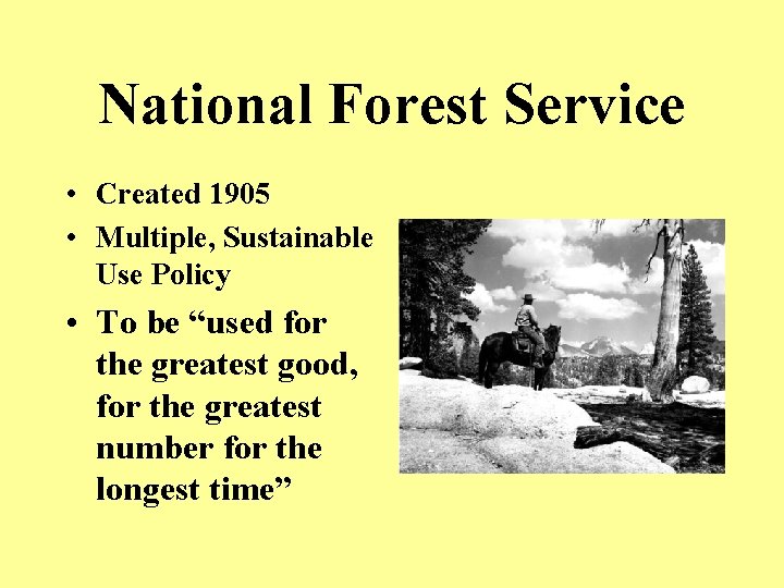 National Forest Service • Created 1905 • Multiple, Sustainable Use Policy • To be