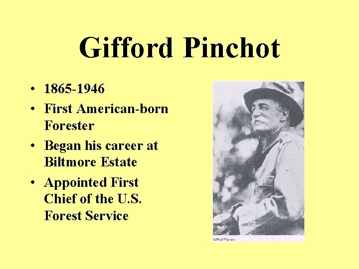 Gifford Pinchot • 1865 -1946 • First American-born Forester • Began his career at