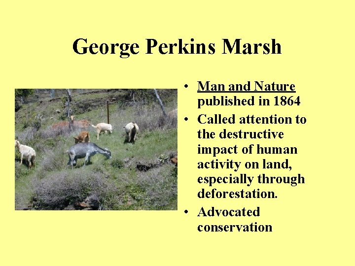 George Perkins Marsh • Man and Nature published in 1864 • Called attention to