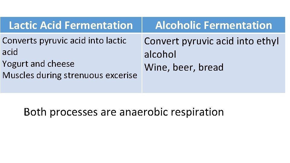 Lactic Acid Fermentation Alcoholic Fermentation Converts pyruvic acid into lactic Convert pyruvic acid into