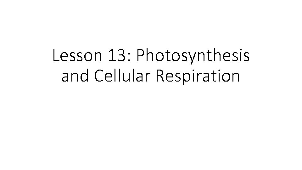 Lesson 13: Photosynthesis and Cellular Respiration 
