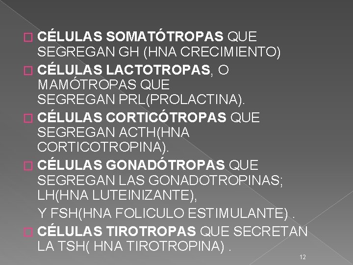 CÉLULAS SOMATÓTROPAS QUE SEGREGAN GH (HNA CRECIMIENTO) � CÉLULAS LACTOTROPAS, O MAMÓTROPAS QUE SEGREGAN CÉLULAS SOMATÓTROPAS QUE SEGREGAN GH (HNA CRECIMIENTO) � CÉLULAS LACTOTROPAS, O MAMÓTROPAS QUE SEGREGAN