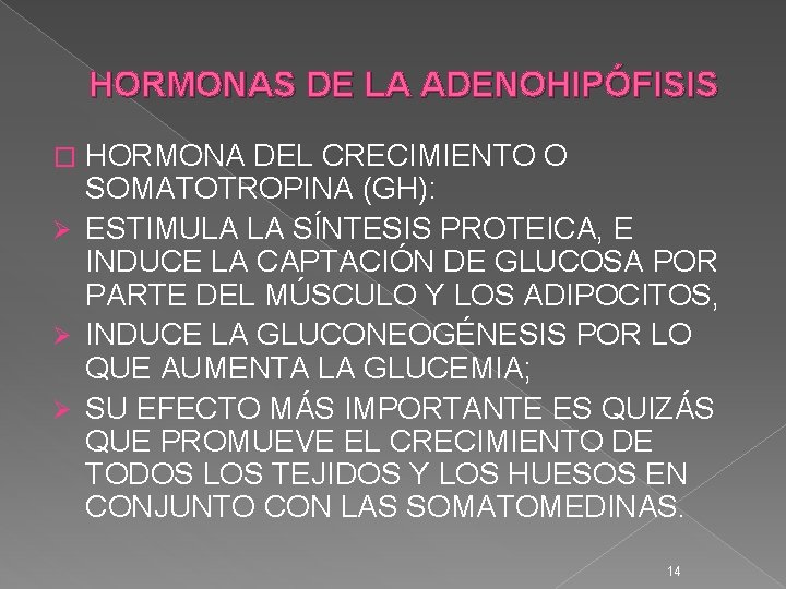 HORMONAS DE LA ADENOHIPÓFISIS HORMONA DEL CRECIMIENTO O SOMATOTROPINA (GH): Ø ESTIMULA LA SÍNTESIS HORMONAS DE LA ADENOHIPÓFISIS HORMONA DEL CRECIMIENTO O SOMATOTROPINA (GH): Ø ESTIMULA LA SÍNTESIS