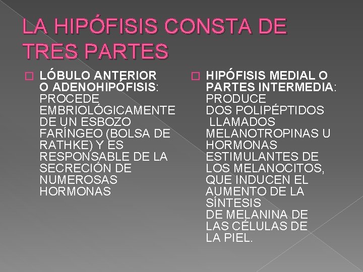 LA HIPÓFISIS CONSTA DE TRES PARTES � LÓBULO ANTERIOR O ADENOHIPÓFISIS: PROCEDE EMBRIOLÓGICAMENTE DE LA HIPÓFISIS CONSTA DE TRES PARTES � LÓBULO ANTERIOR O ADENOHIPÓFISIS: PROCEDE EMBRIOLÓGICAMENTE DE