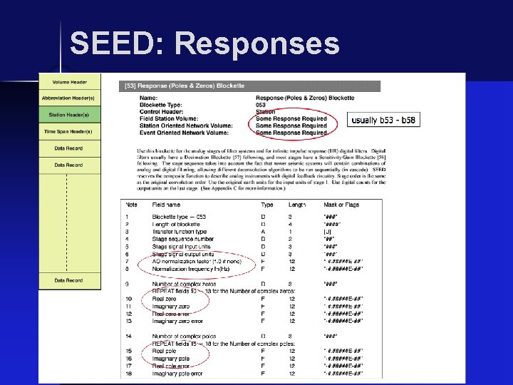 SEED: Responses 