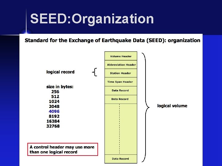 SEED: Organization 