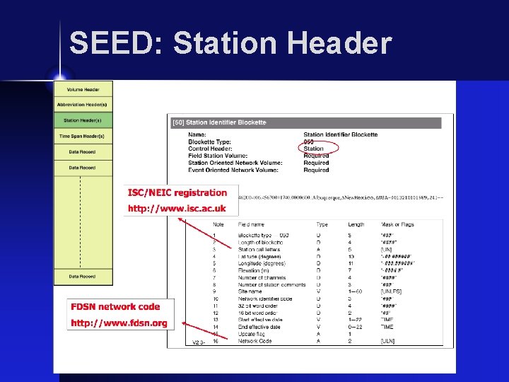 SEED: Station Header 