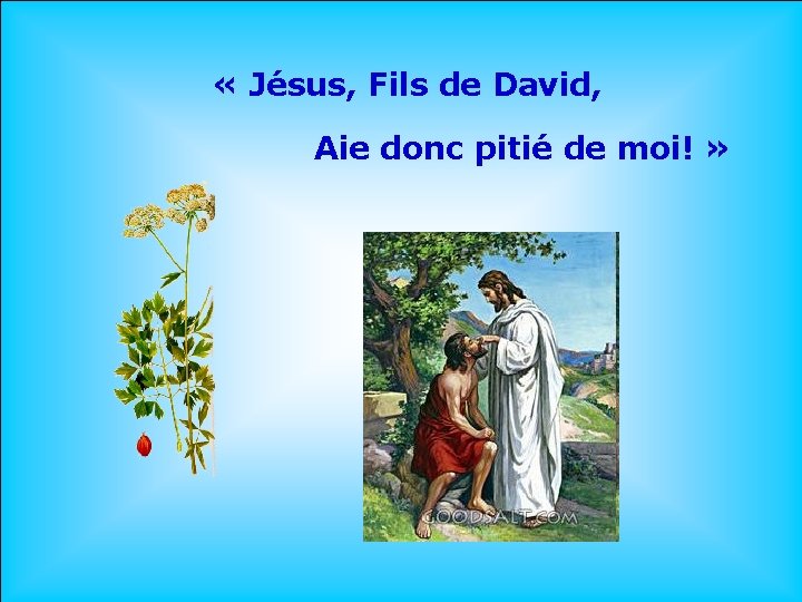  « Jésus, Fils de David, Aie donc pitié de moi! » . .