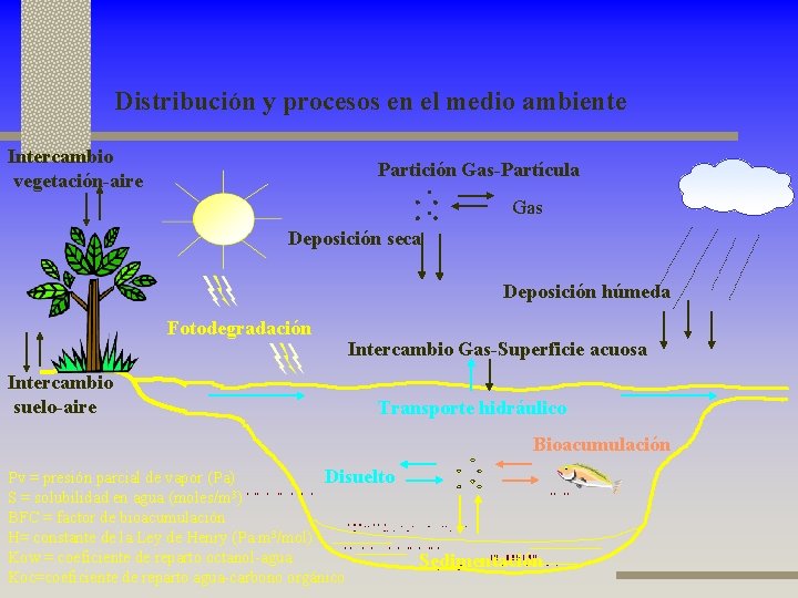 Distribución y procesos en el medio ambiente Intercambio vegetación-aire Partición Gas-Partícula Gas Deposición seca
