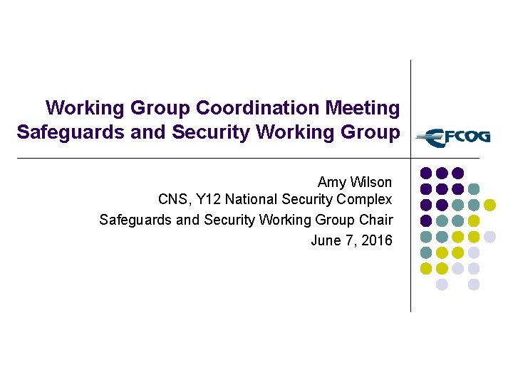Working Group Coordination Meeting Safeguards and Security Working Group Amy Wilson CNS, Y 12
