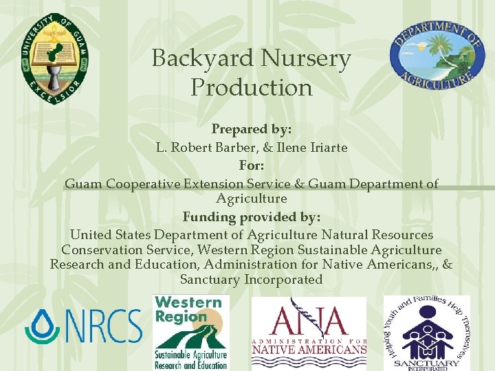 Backyard Nursery Production Prepared by: L. Robert Barber, & Ilene Iriarte For: Guam Cooperative