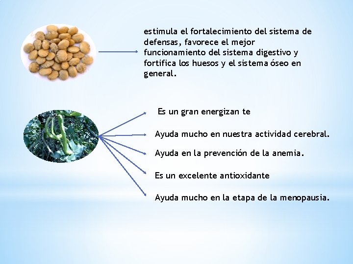 estimula el fortalecimiento del sistema de defensas, favorece el mejor funcionamiento del sistema digestivo