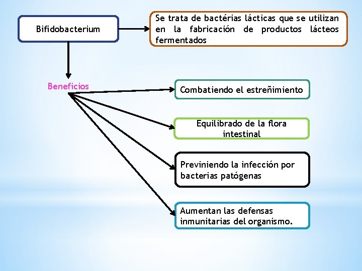 Bifidobacterium Beneficios Se trata de bactérias lácticas que se utilizan en la fabricación de