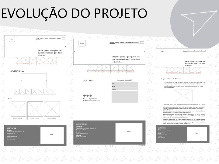 EVOLUÇÃO DO PROJETO 