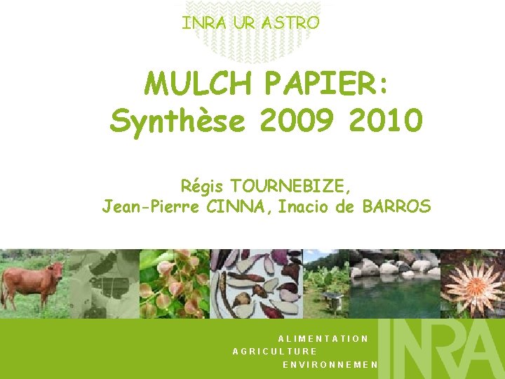 INRA UR ASTRO MULCH PAPIER: Synthèse 2009 2010 Régis TOURNEBIZE, Jean-Pierre CINNA, Inacio de