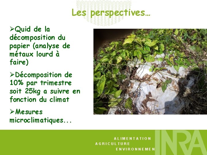 Les perspectives… ØQuid de la décomposition du papier (analyse de métaux lourd à faire)