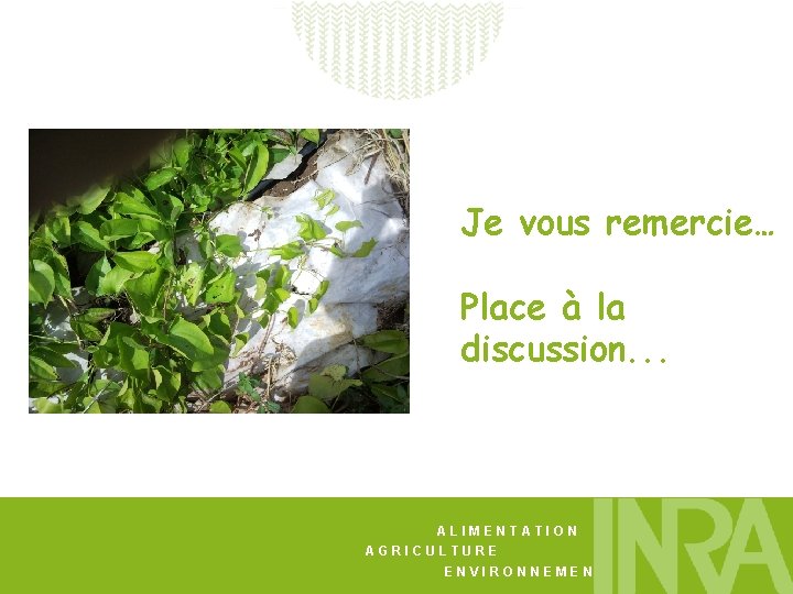 Je vous remercie… Place à la discussion. . . ALIMENTATION AGRICULTURE ENVIRONNEMENT 