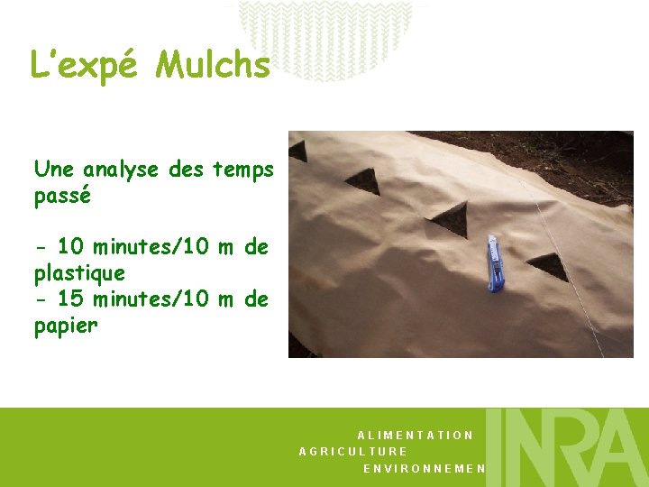 L’expé Mulchs Une analyse des temps passé - 10 minutes/10 m de plastique -