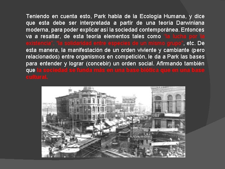 Teniendo en cuenta esto, Park habla de la Ecología Humana, y dice que esta