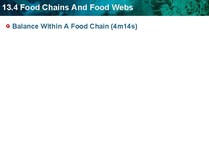 13. 4 Food Chains And Food Webs Balance Within A Food Chain (4 m