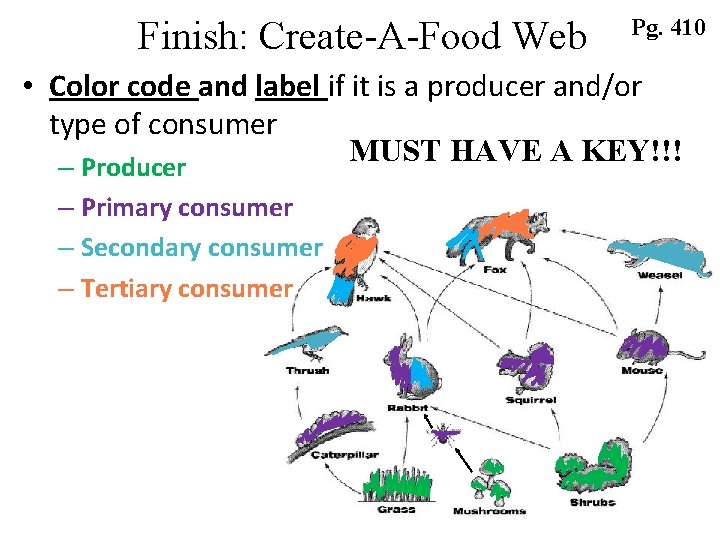Finish: Create-A-Food Web Pg. 410 • Color code and label if it is a