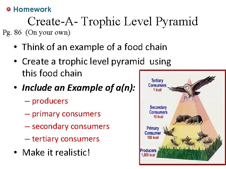 Homework Create-A- Trophic Level Pyramid Pg. 86 (On your own) • Think of an