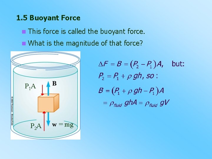 1. 5 Buoyant Force n This force is called the buoyant force. n What
