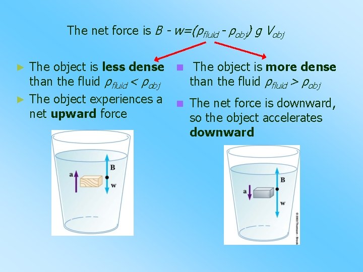 The net force is B - w=(ρfluid - ρobj) g Vobj The object is