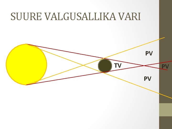 SUURE VALGUSALLIKA VARI PV TV PV PV 