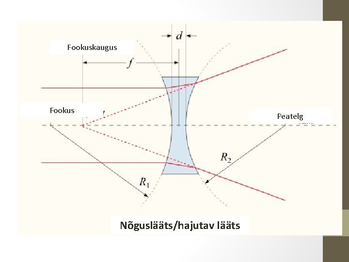 Fookuskaugus Fookus Peatelg Nõguslääts/hajutav lääts 