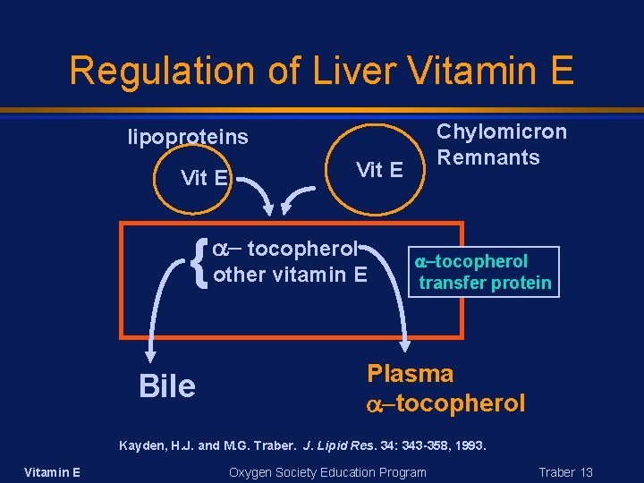 Regulation of Liver Vitamin E Chylomicron Remnants lipoproteins Vit E { Bile Vit E