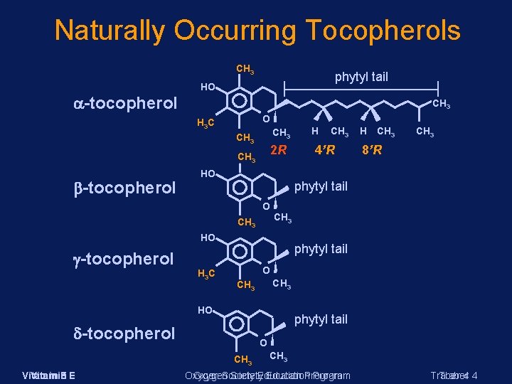 Naturally Occurring Tocopherols CH 3 -tocopherol phytyl tail HO CH 3 O H 3