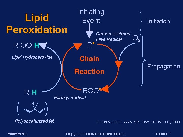 Lipid Peroxidation Initiating Event R R-OO-H Lipid Hydroperoxide Carbon-centered Free Radical O 2 Chain