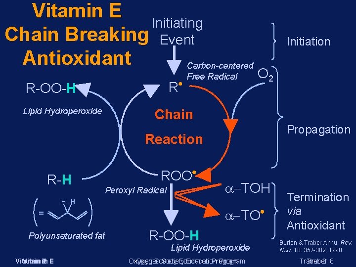 Vitamin E Initiating Chain Breaking Event Antioxidant Carbon-centered R R-OO-H Lipid Hydroperoxide Free Radical