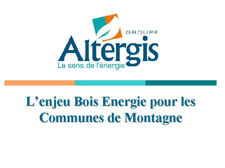 L’enjeu Bois Energie pour les Communes de Montagne 