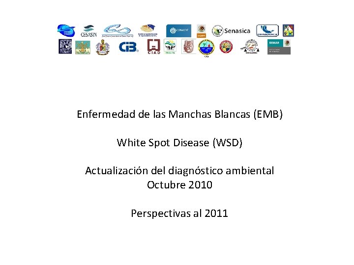 Enfermedad de las Manchas Blancas (EMB) White Spot Disease (WSD) Actualización del diagnóstico ambiental